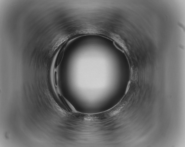 X0000098030109200804071425