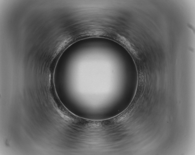 X0000098030110200804071425