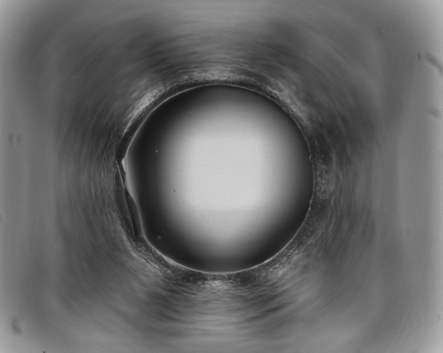 X0000098030111200804071425