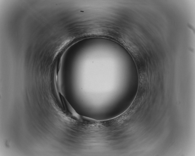 X0000098030112200804071425