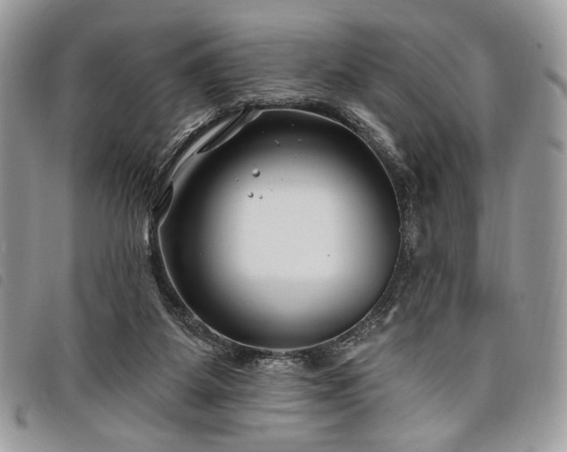 X0000098030115200804071425