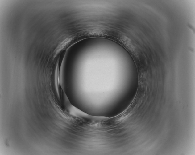 X0000098030116200804071425