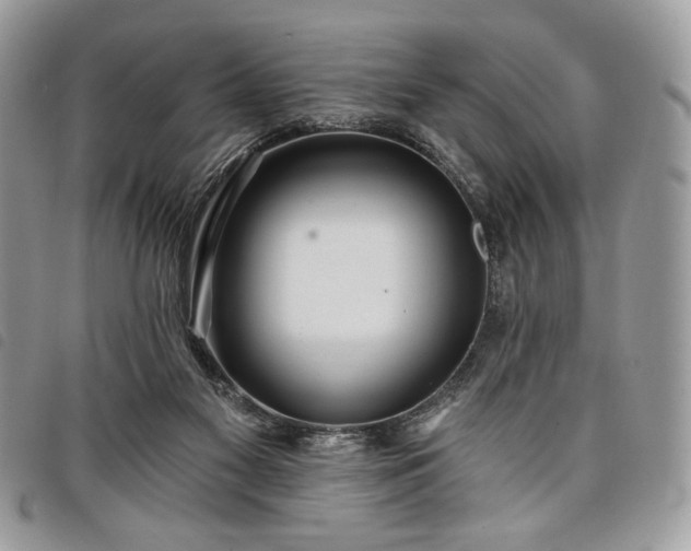 X0000098030117200804071425