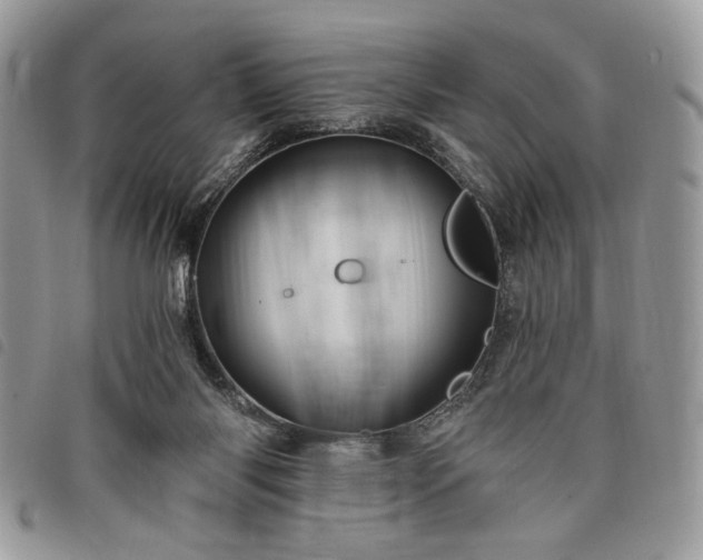 X0000098030118200804071425