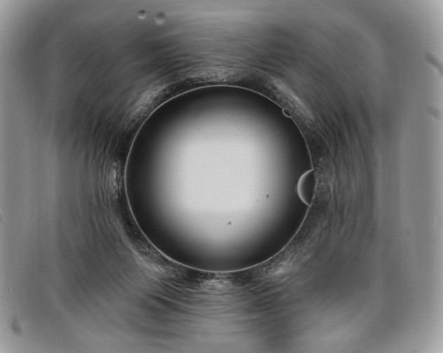 X0000098030119200804071425