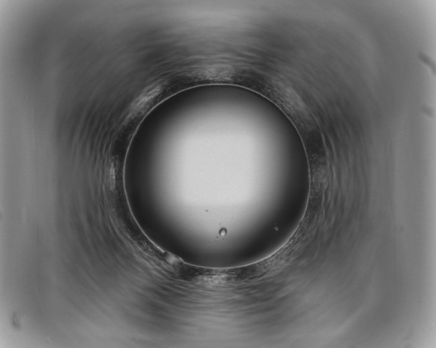 X0000098030120200804071425