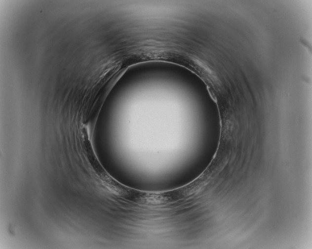 X0000098030121200804071425