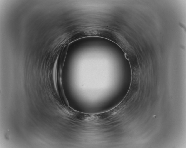 X0000098030125200804071425