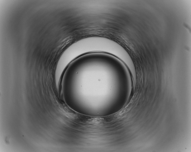 X0000098030128200804071425