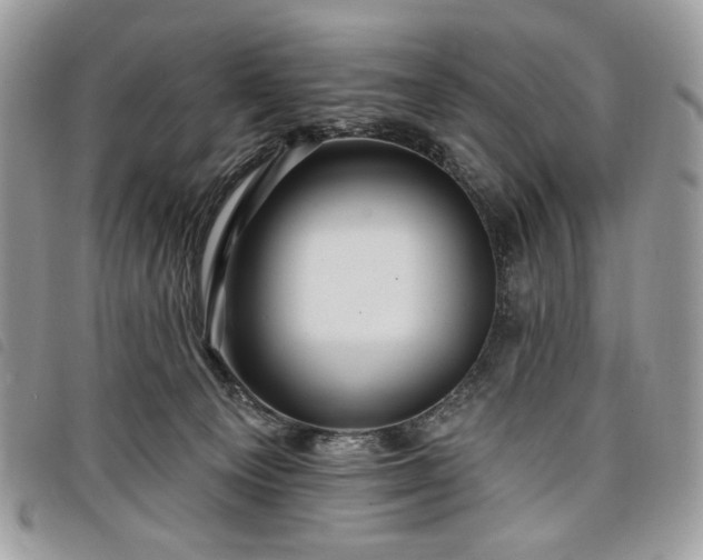 X0000098030129200804071425