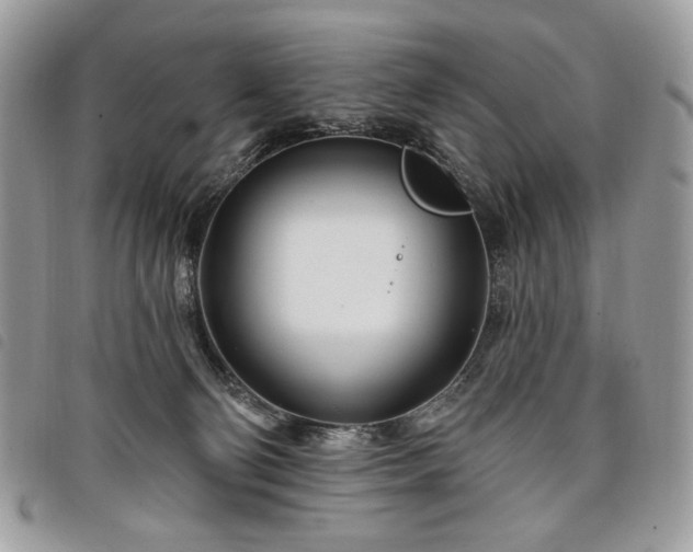 X0000098030130200804071425