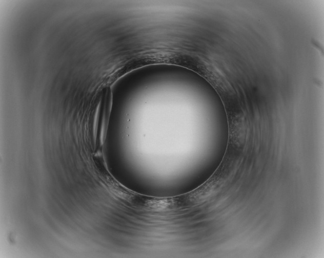 X0000098030131200804071425