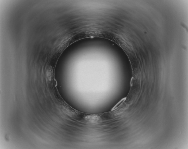 X0000098030133200804071425