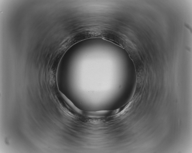 X0000098030136200804071425