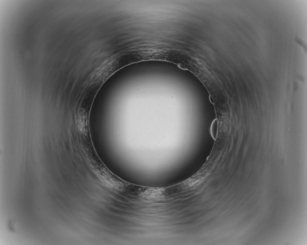 X0000098030138200804071425