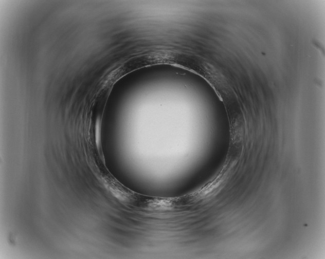 X0000098030140200804071425