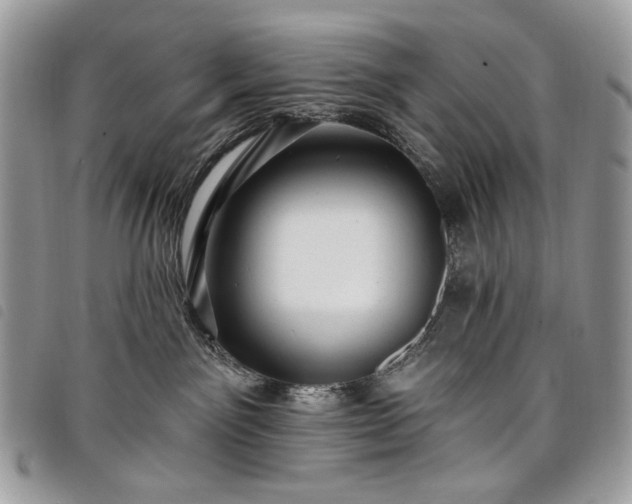 X0000098030141200804071425