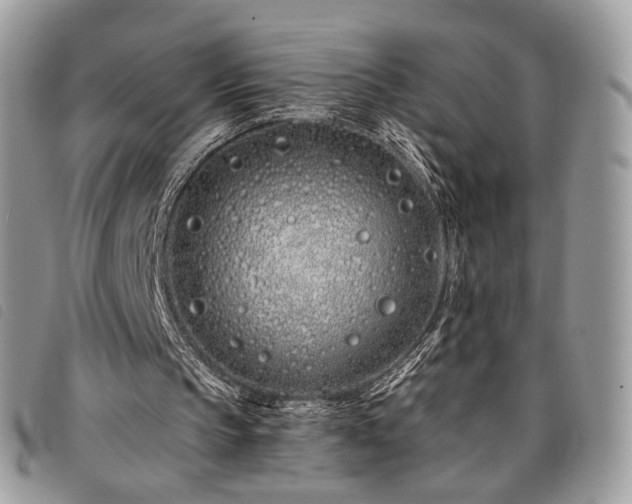 X0000098030145200804071424