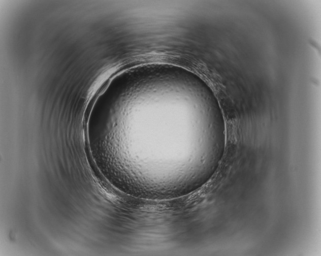 X0000098030147200804071424