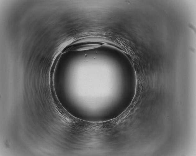 X0000098030148200804071424