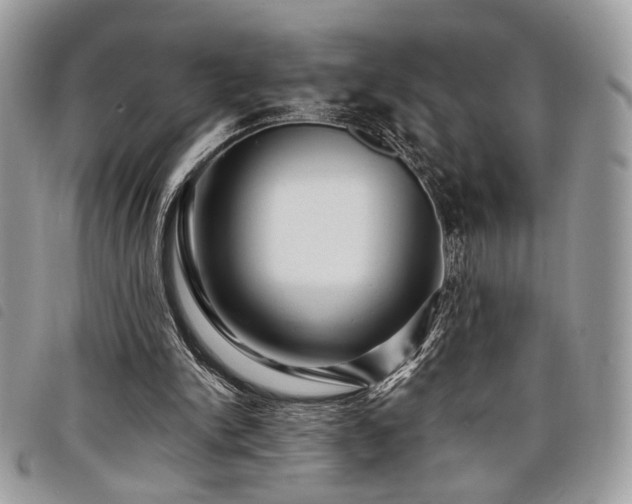 X0000098030150200804071424