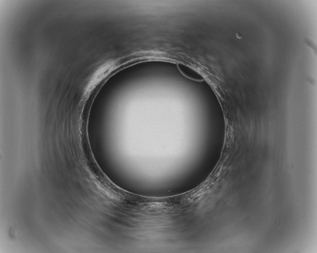 X0000098030151200804071424