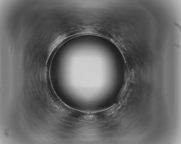 X0000098030152200804071424