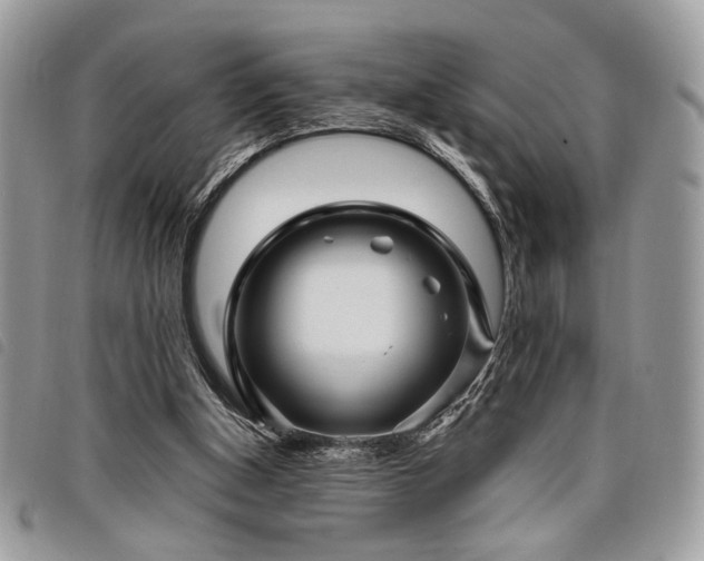 X0000098030154200804071424