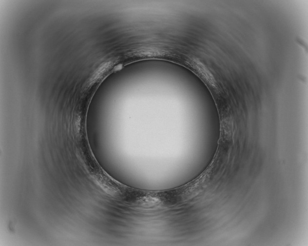 X0000098030159200804071424