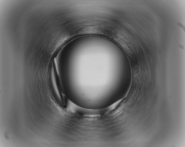 X0000098030160200804071424