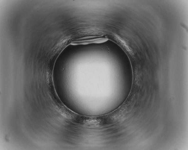 X0000098030161200804071424