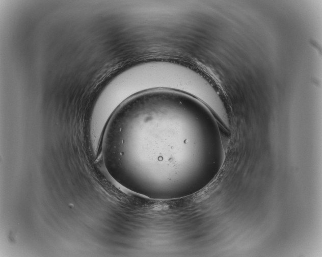 X0000098030162200804071424