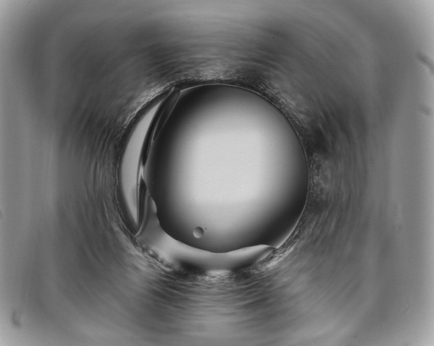 X0000098030164200804071424