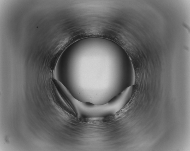 X0000098030168200804071424