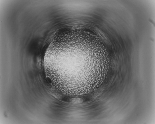 X0000098030169200804071424