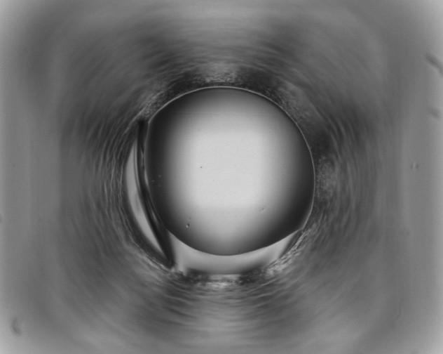 X0000098030172200804071424