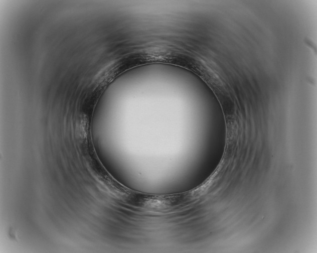 X0000098030174200804071425