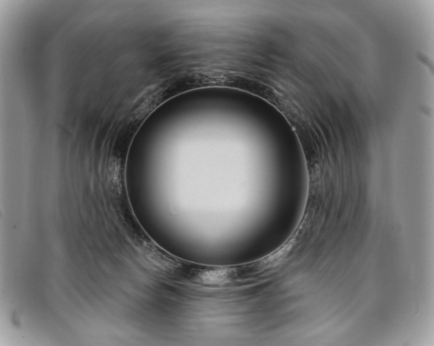 X0000098030178200804071425