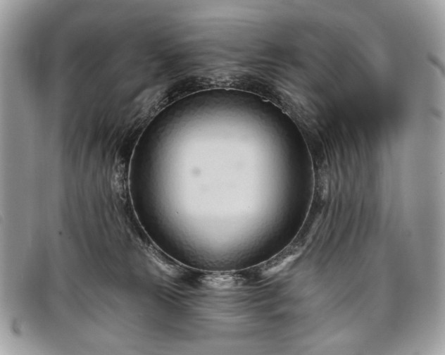 X0000098030181200804071425