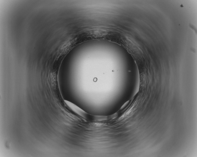 X0000098030184200804071425