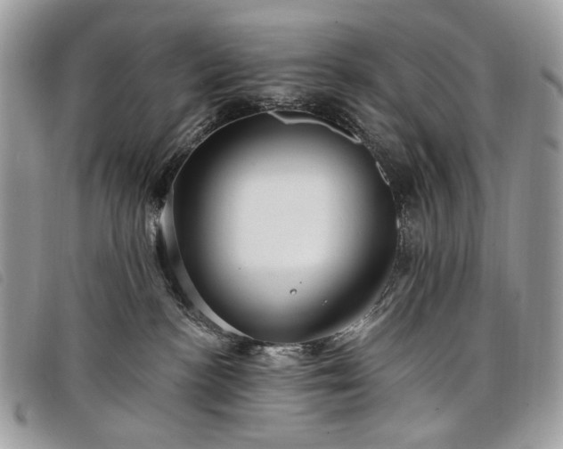 X0000098030188200804071425