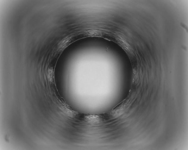 X0000098030189200804071425