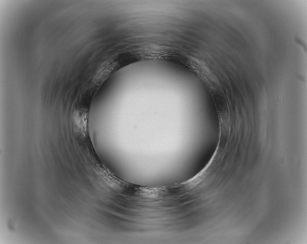 X0000098030190200804071425