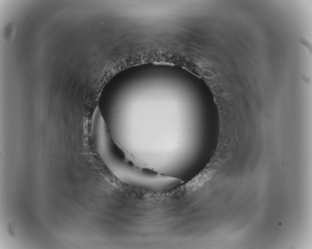 X0000098030192200804071425