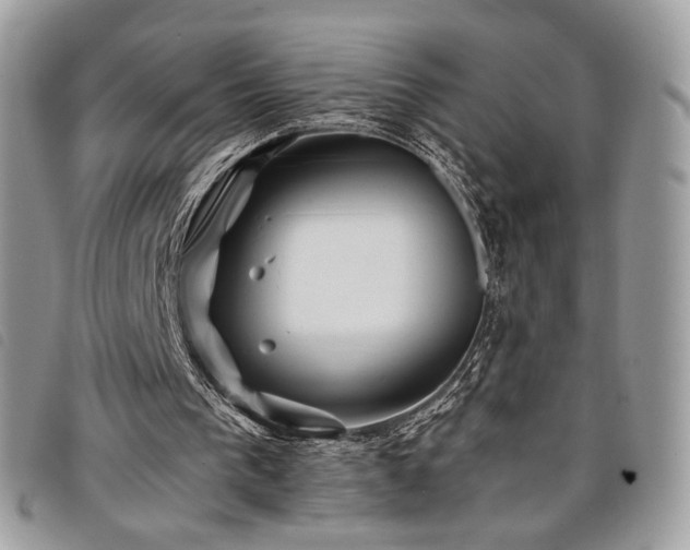 X0000098030193200804071424