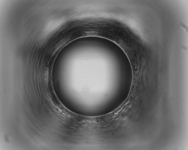 X0000098030194200804071424