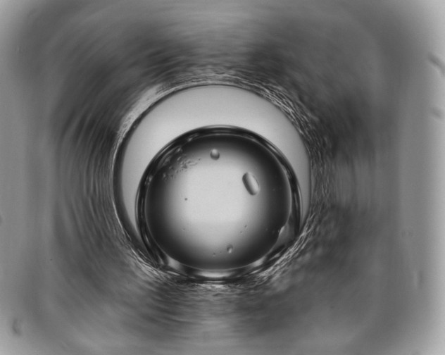 X0000098030195200804071424