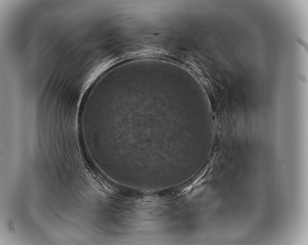 X0000098030196200804071424