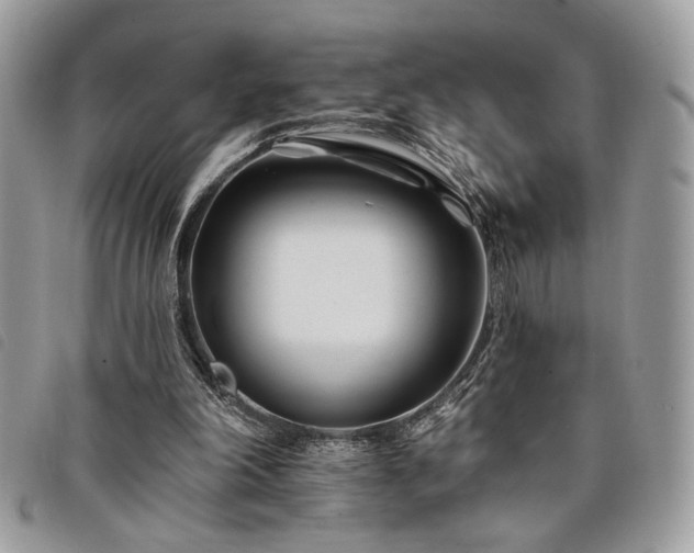 X0000098030198200804071424