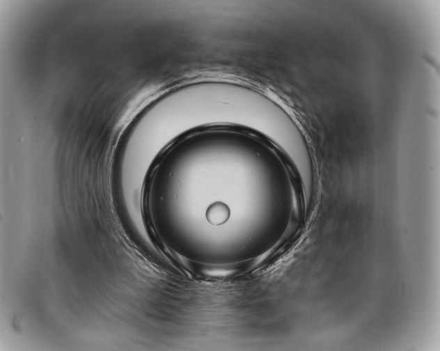 X0000098030199200804071424